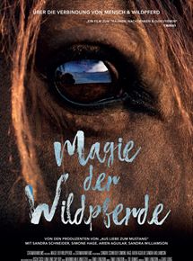 Magie der Wildpferde (2019) смотреть онлайн бесплатно